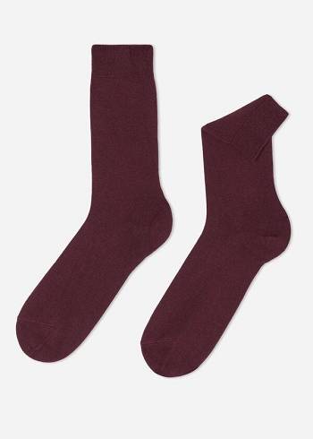 Calcetines Calzedonia Crew with Cashmere Hombre Vino | MX1350QZ